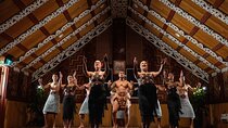 From Auckland: Te Puia Rotorua and Activity Combinations