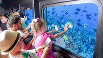 Hurghada Under sea Adventure in a Semi-Submarine 