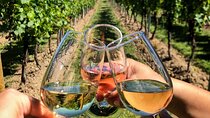 FOR CRUISERS:Kusadasi Port Private Wine Tasting and Ephesus Tour 
