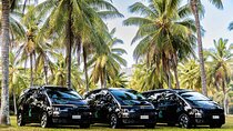 Daintree Eco Lodge to Cairns ONE WAY Private Transfer 6 pax