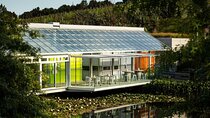 Private Matakana Personalised Tour