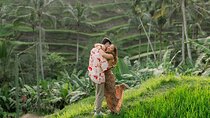 Rice Terrace, Temple, Ulu Petanu Waterfall with Pro Photographer