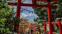 Mt. Fuji Views and Kawaguchiko Scenic Day Tour From Tokyo 