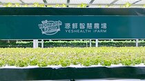  Full-Day Tour: Smart Agriculture Discovery & Daxi Journey