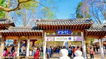 10 Hours Seoul Suburban area Private Tour