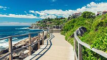 Bondi to Coogee Guided Coastal Walk with Lunch 