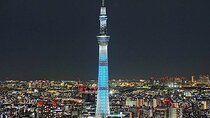 Tokyo Essence Private Tour with Bilingual Driver Guide