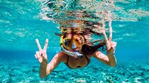 Guided Saona Island Tour in Punta Cana