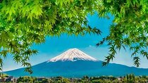 Peaks & Peace: Mt. Fuji, Fuji Stupa & Hakone Tour