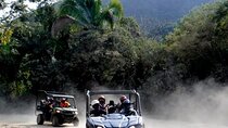 RZR/Adventure in the Eden & Coast Adventure for 5-6 Passengers 