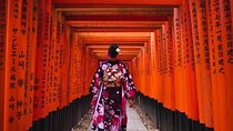 From Osaka/Kyoto : Private Kyoto & Nara Day Trip with Pickup
