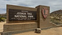 Private 1 Day Tour to Joshua Tree National Park