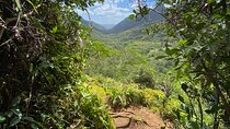 Hiking Maui Hawai’i 