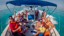 Swim with Whale Shark from Cancun
