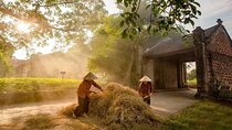 Duong Lam Ancient Village - Ba Vi National Park 