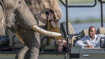 Amboseli Naivasha and Masai Mara Safari Experience