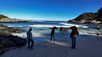 Zapallar Walking & Bird Watching Penguins Private Tour From Stgo
