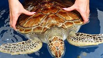 Bentota Coastal Escape with Beaches, Gardens, Rivers and Wildlife