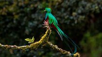 Birdwatching Tour: unlock the wonder, whether beginner or advanced