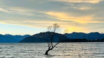 Private Driver Hire – Full-Day Touring Anywhere in New Zealand