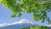Private Mt Fuji Area Day Trip with English Speaking Driver
