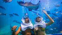 Tenerife Guided Sea Trek Underwater Walk 