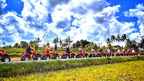 Bali Gorilla ATV Adventure and White Water Rafting