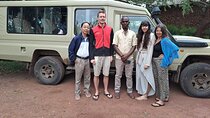 3 Day Camping Safari Adventure