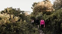 Sunset Hike and Gastro Tour