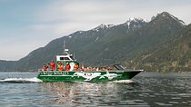Wild Whale Watching Experience - Open Air Vessel