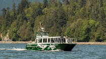 Intimate West Coast Whale Watching - Partly-Sheltered