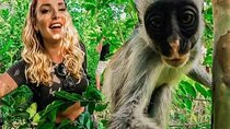Zanzibar :Jozani Forest ,and Sea Turtles Sanctuary tour 
