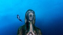 Double dive in the Punta Campanella Marine Protected Area