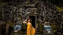 Elephant Cave and Hidden Waterfall All-Inclusive Private Day Tour