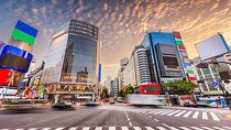 Afternoon Small Group Tour in Tokyo