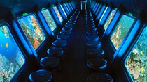 Hurghada Semi Submarine Trip–Coral Reef View with Hotel Transfer