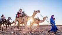 Private Ait Ben Haddou & Desert Camp/Camel Ride & Meals-Marrakesh
