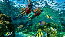 Reef Snorkeling in National Park from Cancun with Beachside Lunch