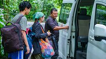 Shared Transfer from La Fortuna to Liberia Airport
