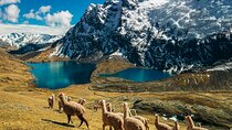 Explore Ausangate Mountain Like Never Before Quad Tour