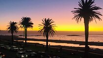Cape Peninsula Tour