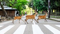 Super Express Nara & Kyoto Private 1-Day Tour from Tokyo 