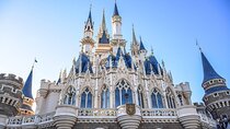 Private Tokyo Disneyland/DisneySea Tour with Car Transportation