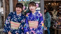 Kyoto Private Car City Tour