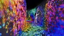 Teamlab Phenomena Abu Dhabi 