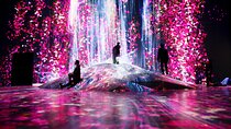 Teamlab Phenomena Abu Dhabi 