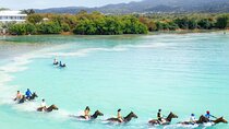 Horseback Ride/Swim and Blue Hole Falls Daytrip with Transfers