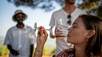 Provence Wine Tour - Private Day Tour from Antibes