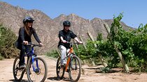 Bike and Wine Experience in Luján de Cuyo, Mendoza