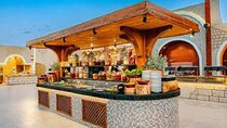 Premium Desert Safari Experience 5* Live BBQ Dinner with Shows